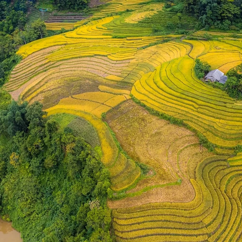 Sapa